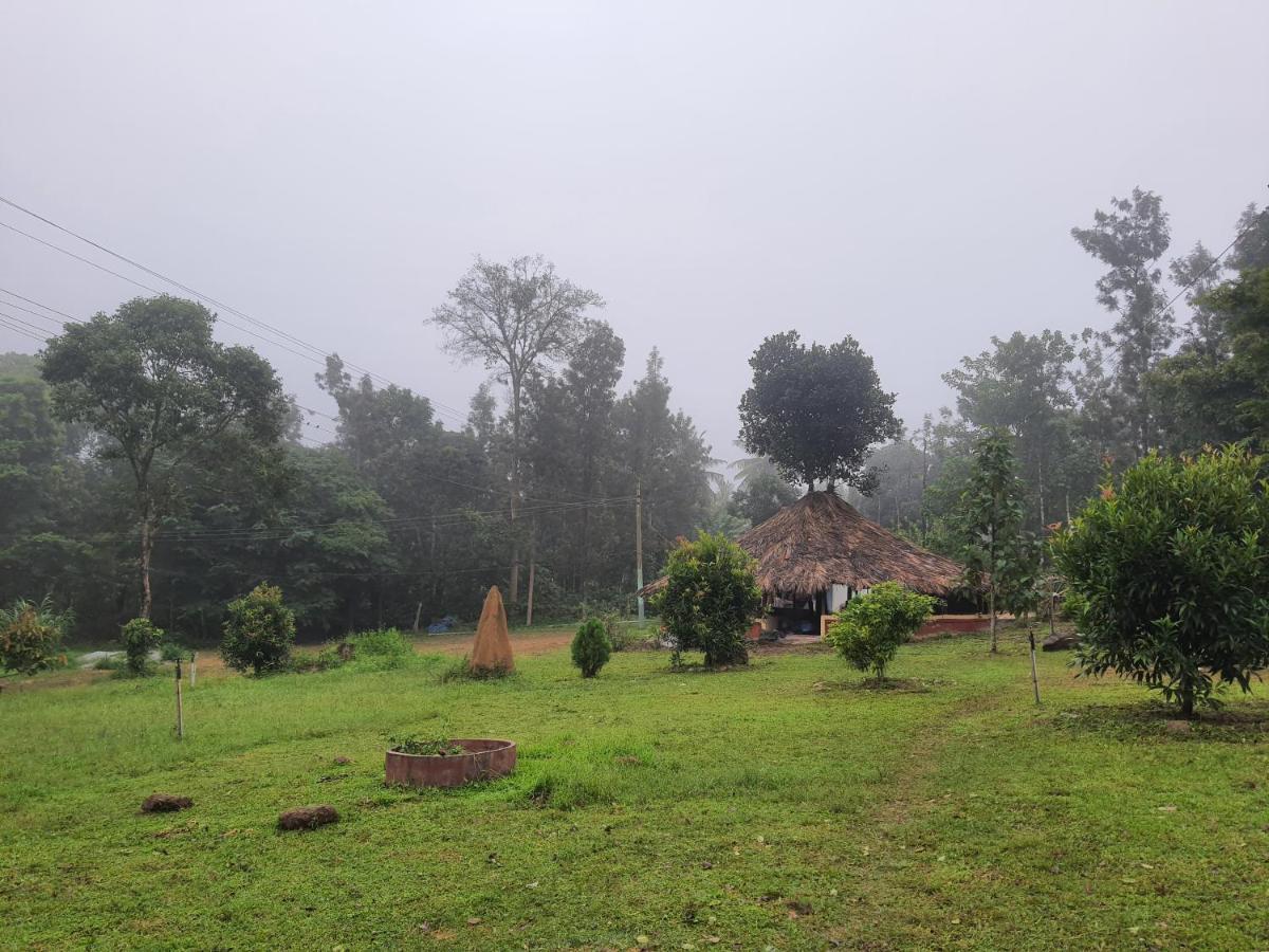 Stoneage Resort Sakleshpur Exteriér fotografie